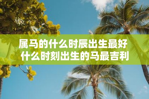 属马的什么时辰出生最好 什么时刻出生的马最吉利