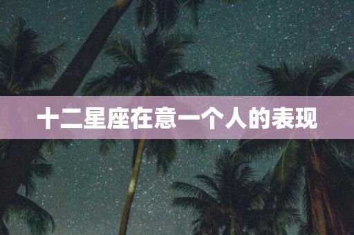 十二星座在意一个人的表现
