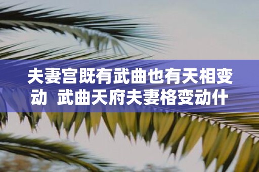 夫妻宫既有武曲也有天相变动 武曲天府夫妻格变动什么意思