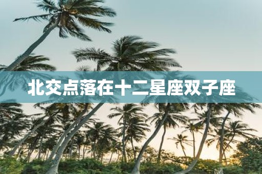 北交点落在十二星座双子座
