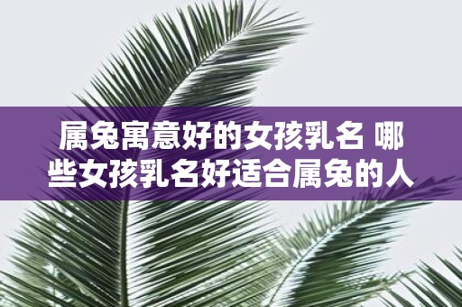 属兔寓意好的女孩乳名 哪些女孩乳名好适合属兔的人