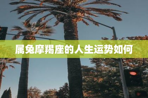 属兔摩羯座的人生运势如何