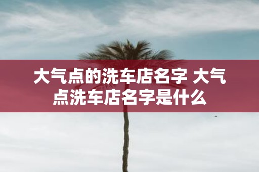 大气点的洗车店名字 大气点洗车店名字是什么