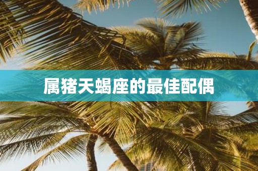 属猪天蝎座的最佳配偶