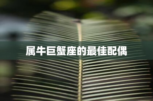 属牛巨蟹座的最佳配偶
