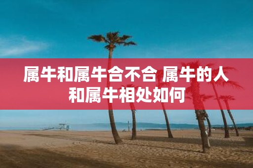 属牛和属牛合不合 属牛的人和属牛相处如何