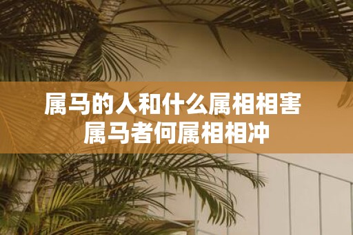 属马的人和什么属相相害 属马者何属相相冲