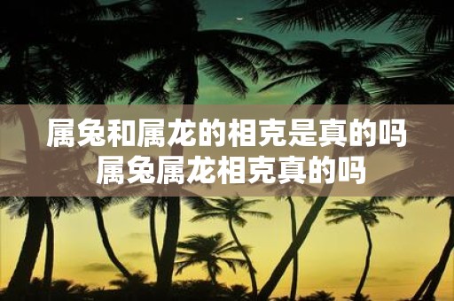 属兔和属龙的相克是真的吗 属兔属龙相克真的吗
