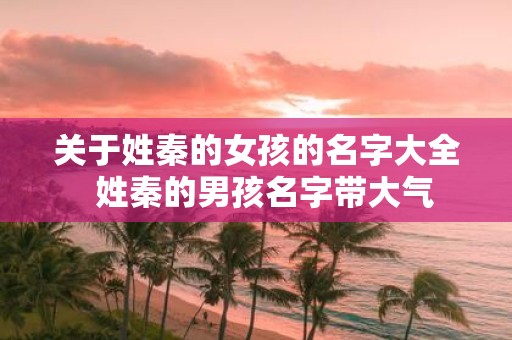 关于姓秦的女孩的名字大全 姓秦的男孩名字带大气