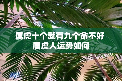 属虎十个就有九个命不好 属虎人运势如何