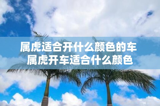 属虎适合开什么颜色的车 属虎开车适合什么颜色