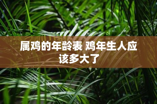 属鸡的年龄表 鸡年生人应该多大了