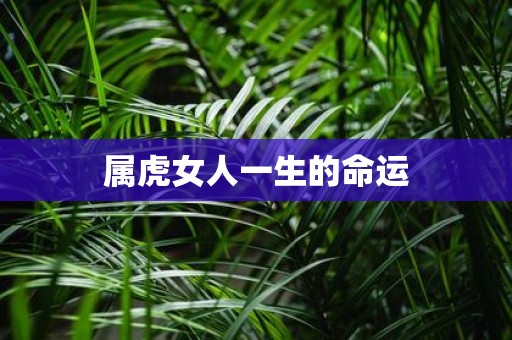 属虎女人一生的命运
