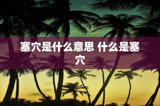 塞穴是什么意思 什么是塞穴