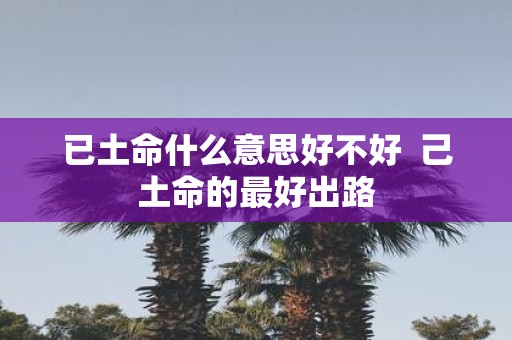 已土命什么意思好不好  己土命的最好出路