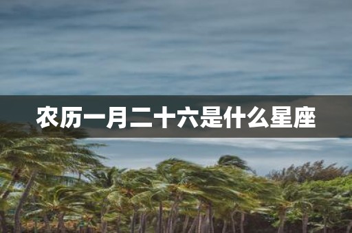 农历一月二十六是什么星座