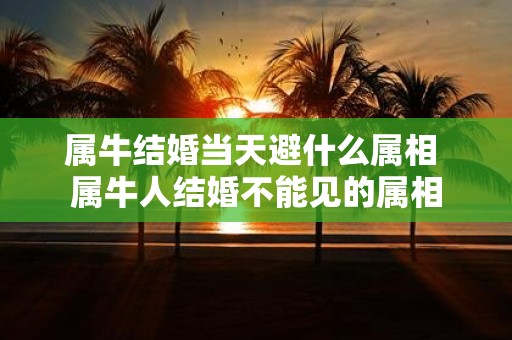 属牛结婚当天避什么属相 属牛人结婚不能见的属相