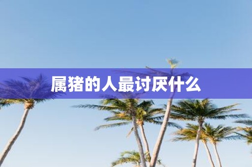 属猪的人最讨厌什么