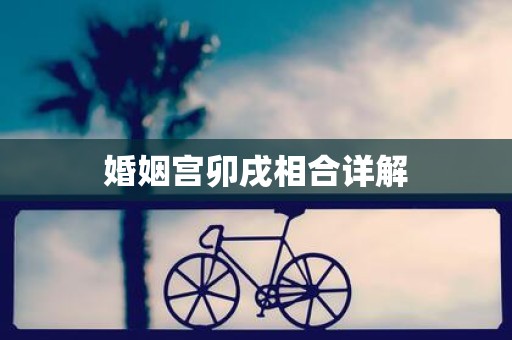 婚姻宫卯戌相合详解