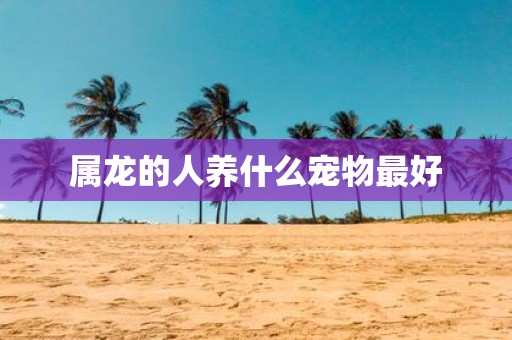 属龙的人养什么宠物最好