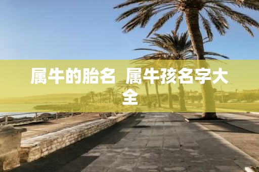 属牛的胎名 属牛孩名字大全