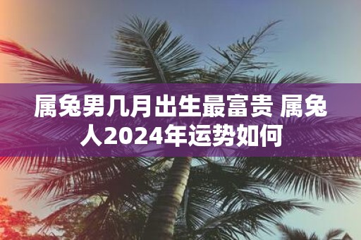 属兔男几月出生最富贵 属兔人2025年运势如何
