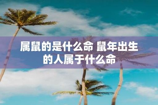 属鼠的是什么命 鼠年出生的人属于什么命