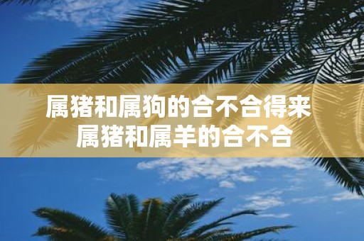 属猪和属狗的合不合得来 属猪和属羊的合不合