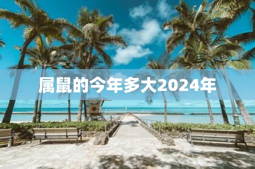 属鼠的今年多大2025年