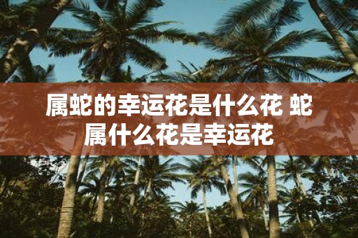 属蛇的幸运花是什么花 蛇属什么花是幸运花