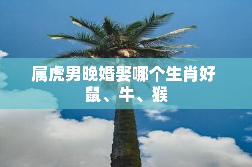 属虎男晚婚娶哪个生肖好 鼠、牛、猴