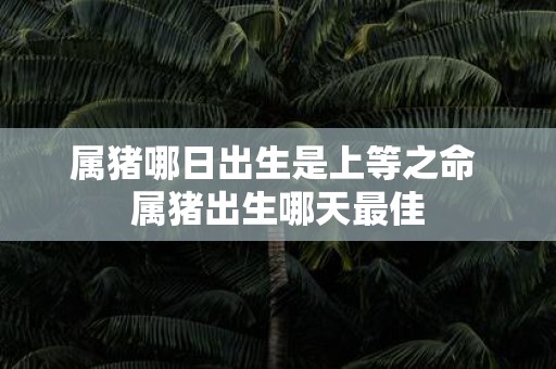 属猪哪日出生是上等之命 属猪出生哪天最佳