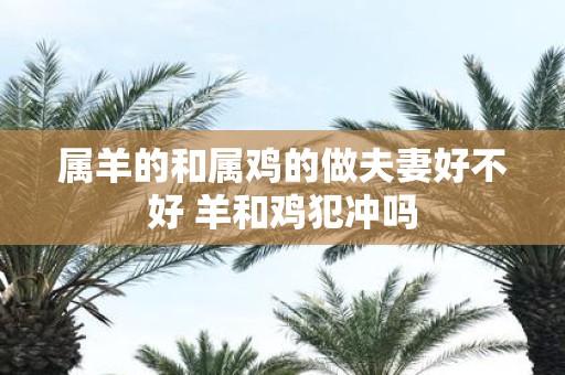 属羊的和属鸡的做夫妻好不好 羊和鸡犯冲吗