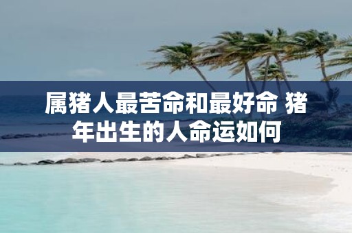 属猪人最苦命和最好命 猪年出生的人命运如何