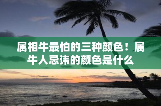 属相牛最怕的三种颜色！属牛人忌讳的颜色是什么