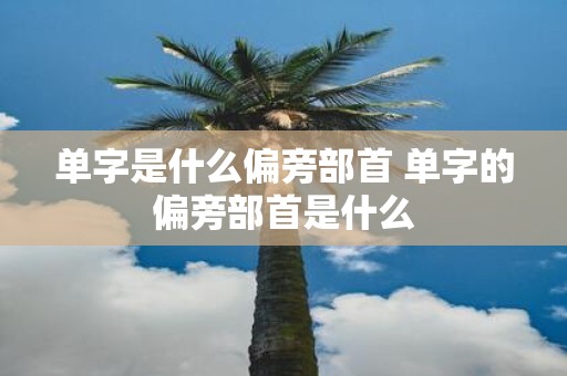 单字是什么偏旁部首 单字的偏旁部首是什么