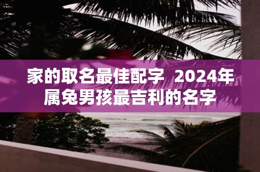 家的取名最佳配字 2025年属兔男孩最吉利的名字