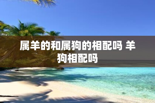 属羊的和属狗的相配吗 羊狗相配吗