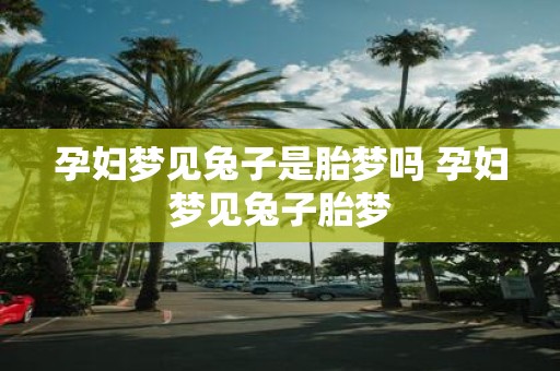 孕妇梦见兔子是胎梦吗 孕妇梦见兔子胎梦