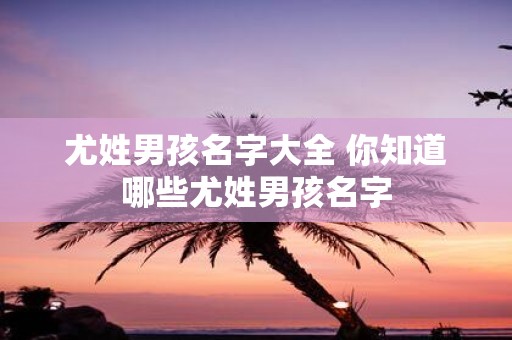 尤姓男孩名字大全 你知道哪些尤姓男孩名字