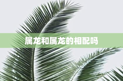 属龙和属龙的相配吗
