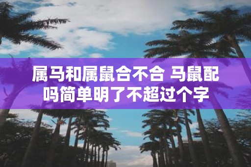 属马和属鼠合不合 马鼠配吗简单明了不超过个字