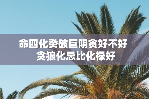 命四化癸破巨阴贪好不好 贪狼化忌比化禄好