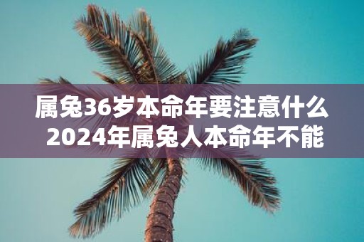 属兔36岁本命年要注意什么 2025年属兔人本命年不能穿红色