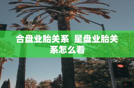 合盘业胎关系 星盘业胎关系怎么看
