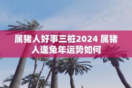 属猪人好事三桩2025 属猪人逢蛇年运势如何
