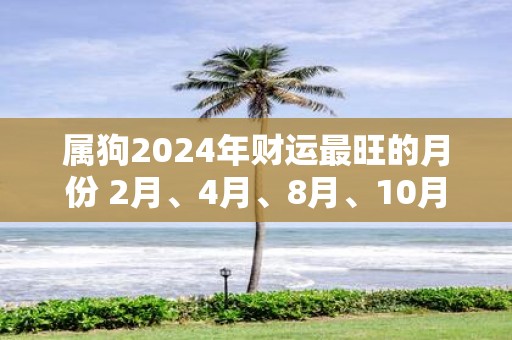 属狗2025年财运最旺的月份 2月、4月、8月、10月