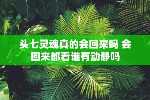 头七灵魂真的会回来吗 会回来都看谁有动静吗