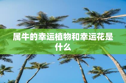 属牛的幸运植物和幸运花是什么