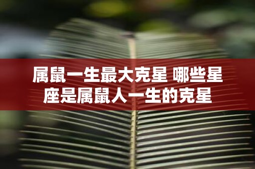 属鼠一生最大克星 哪些星座是属鼠人一生的克星